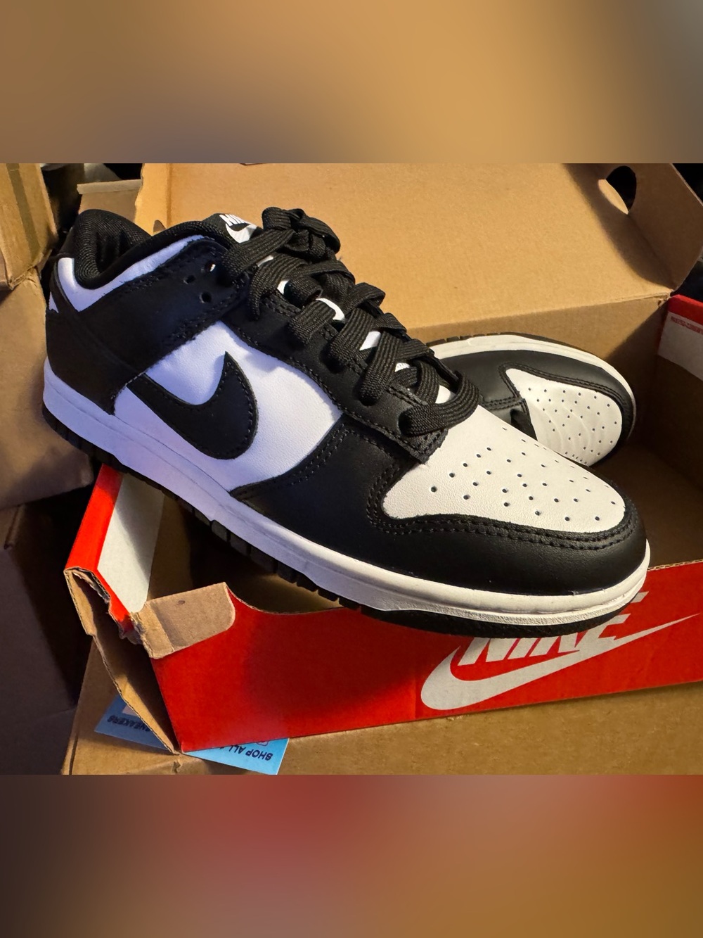 Nike Men’s Black and White Low-Top Sneakers with Swoosh